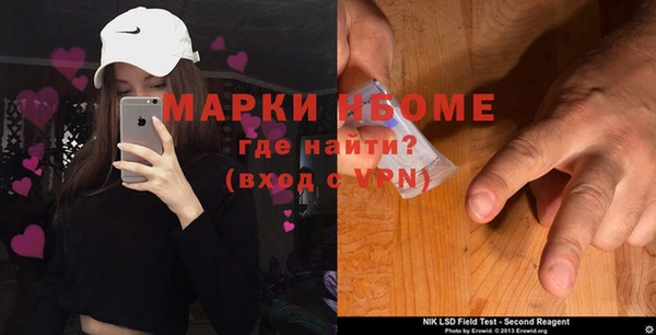 шишки Дмитров