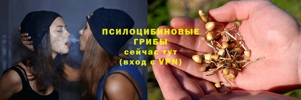СК Дмитровск