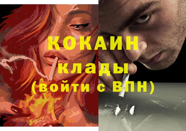 шишки Дмитров