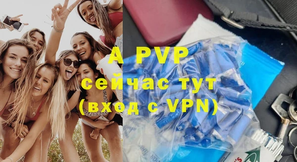 шишки Дмитров