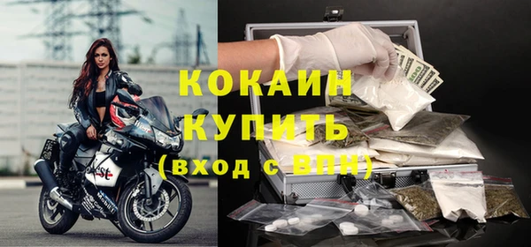 шишки Дмитров