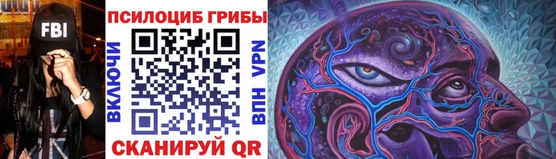 Купить закладки  Салехард  Псилоцибиновые грибы ЛСД 